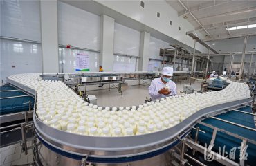 河北威县：乳业园区助力全产业链融合发展