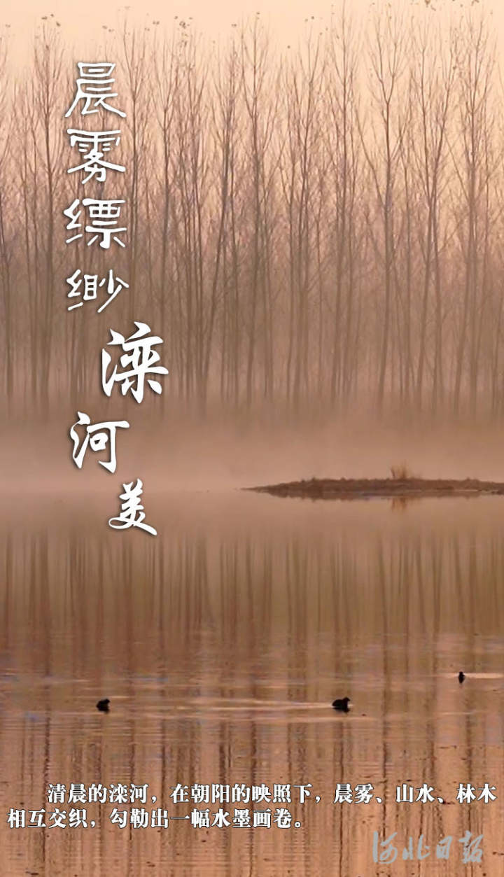 晨雾缥缈1.jpg